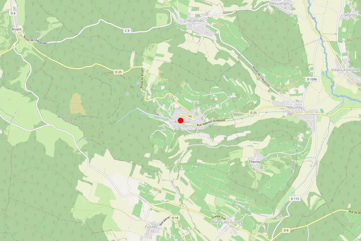 Remplacement de serrure à Arcenant