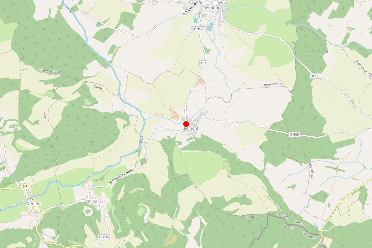 Remplacement de serrure à Belmont