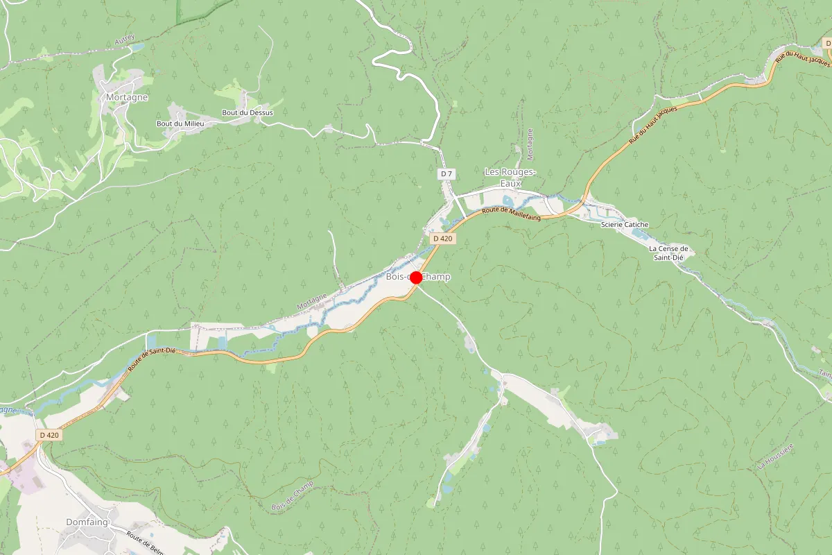 Remplacement de serrure à Bois De Champ