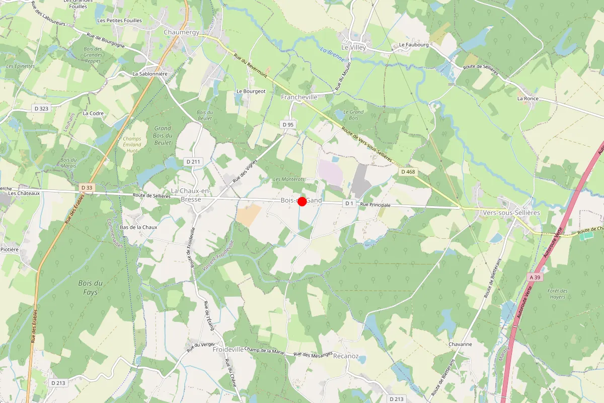Remplacement de serrure à Bois De Gand