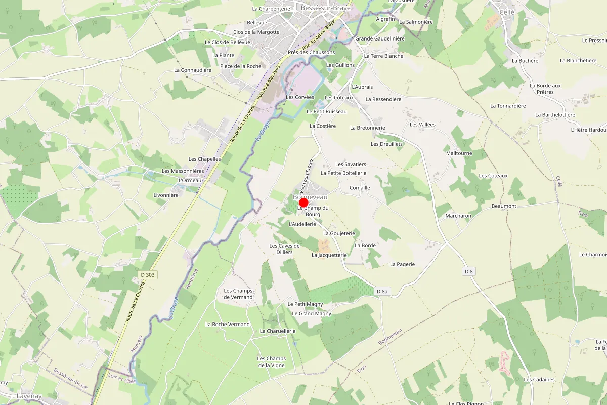 Remplacement de serrure à Bonneveau