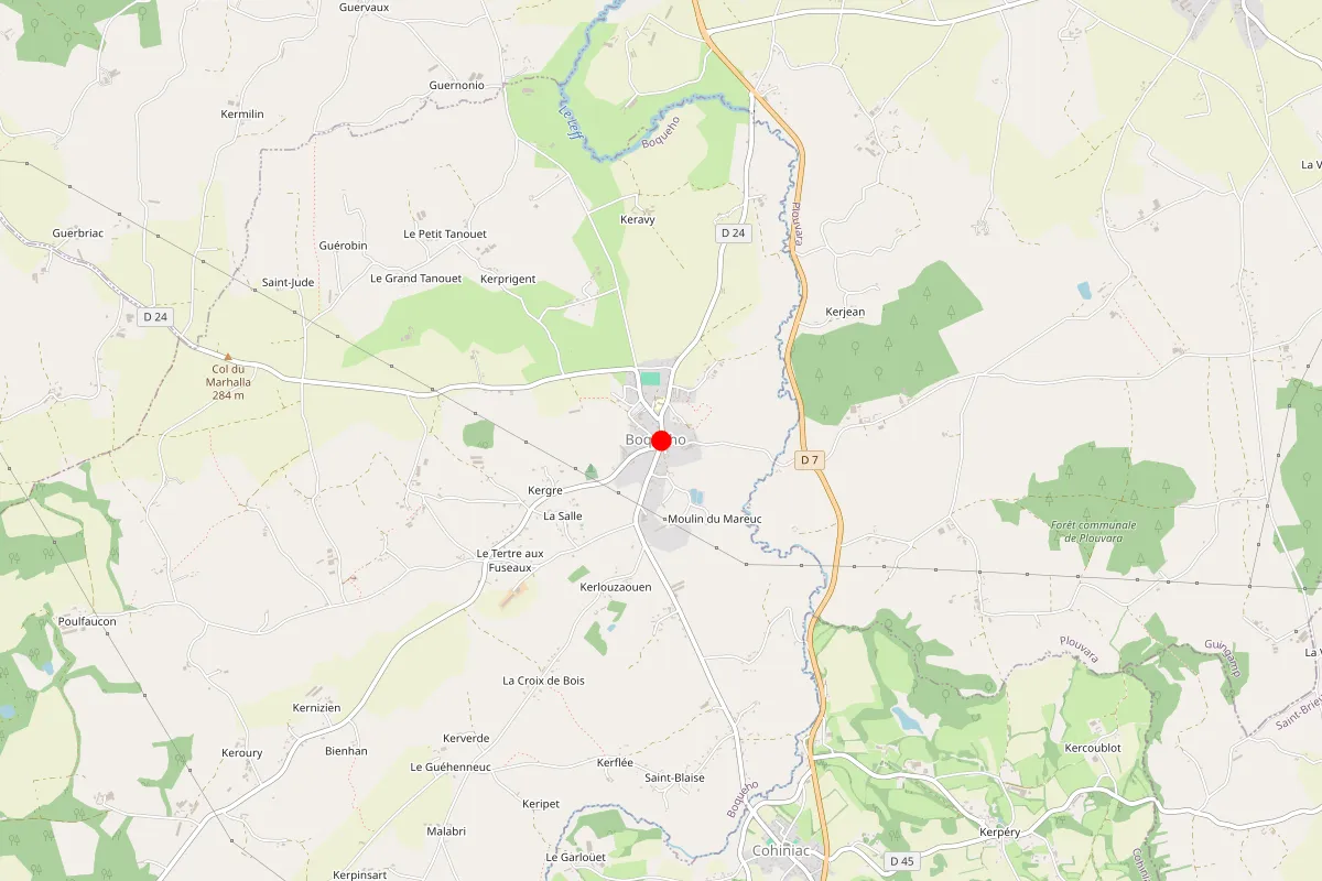 Remplacement de serrure à Boqueho