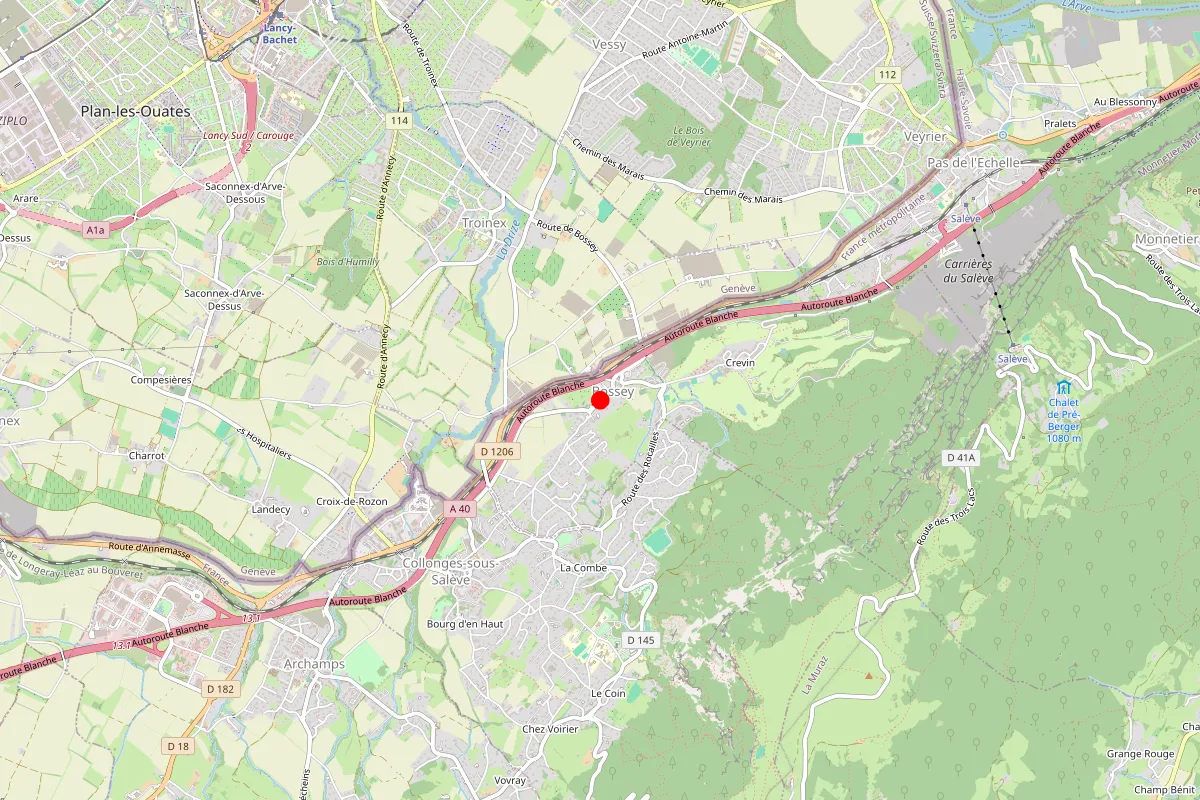 Remplacement de serrure à Bossey