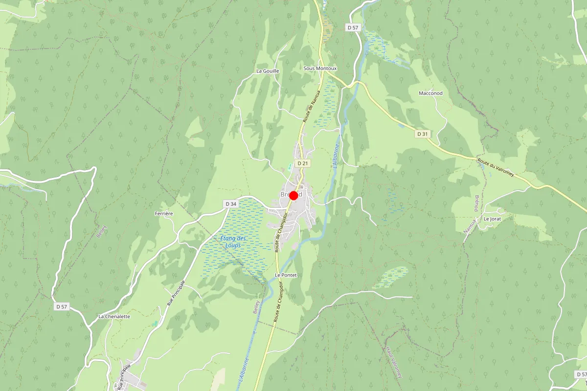 Remplacement de serrure à Brenod