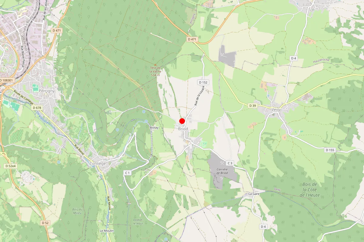 Remplacement de serrure à Briod