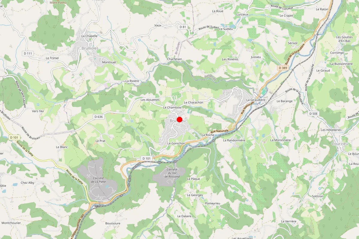 Remplacement de serrure à Brussieu