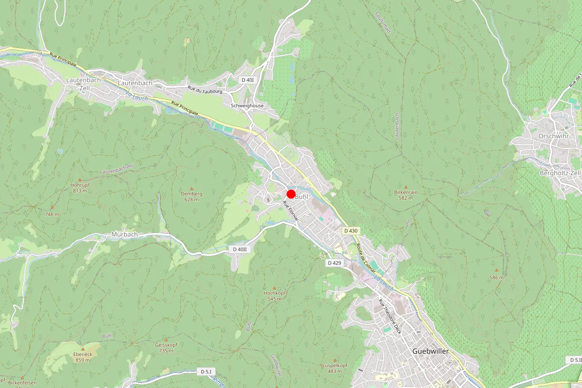 Remplacement de serrure à Buhl