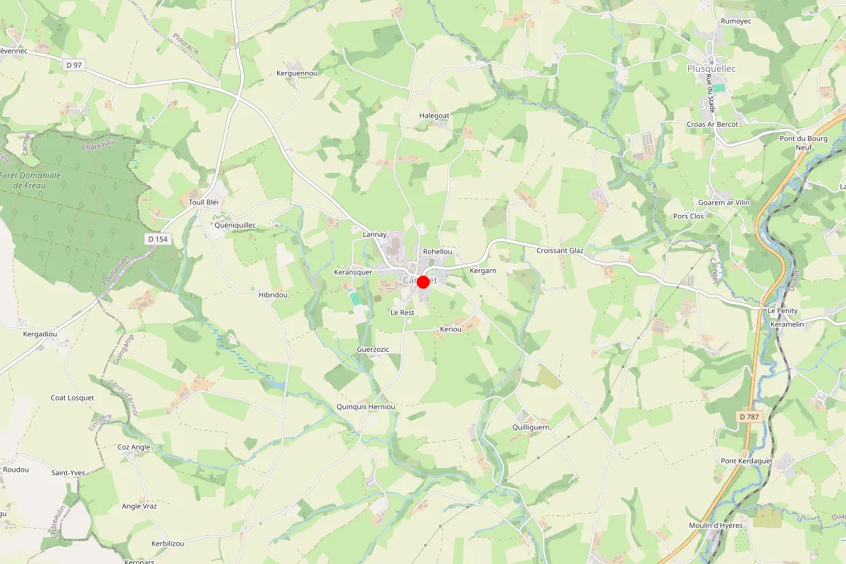 Remplacement de serrure à Carnoet