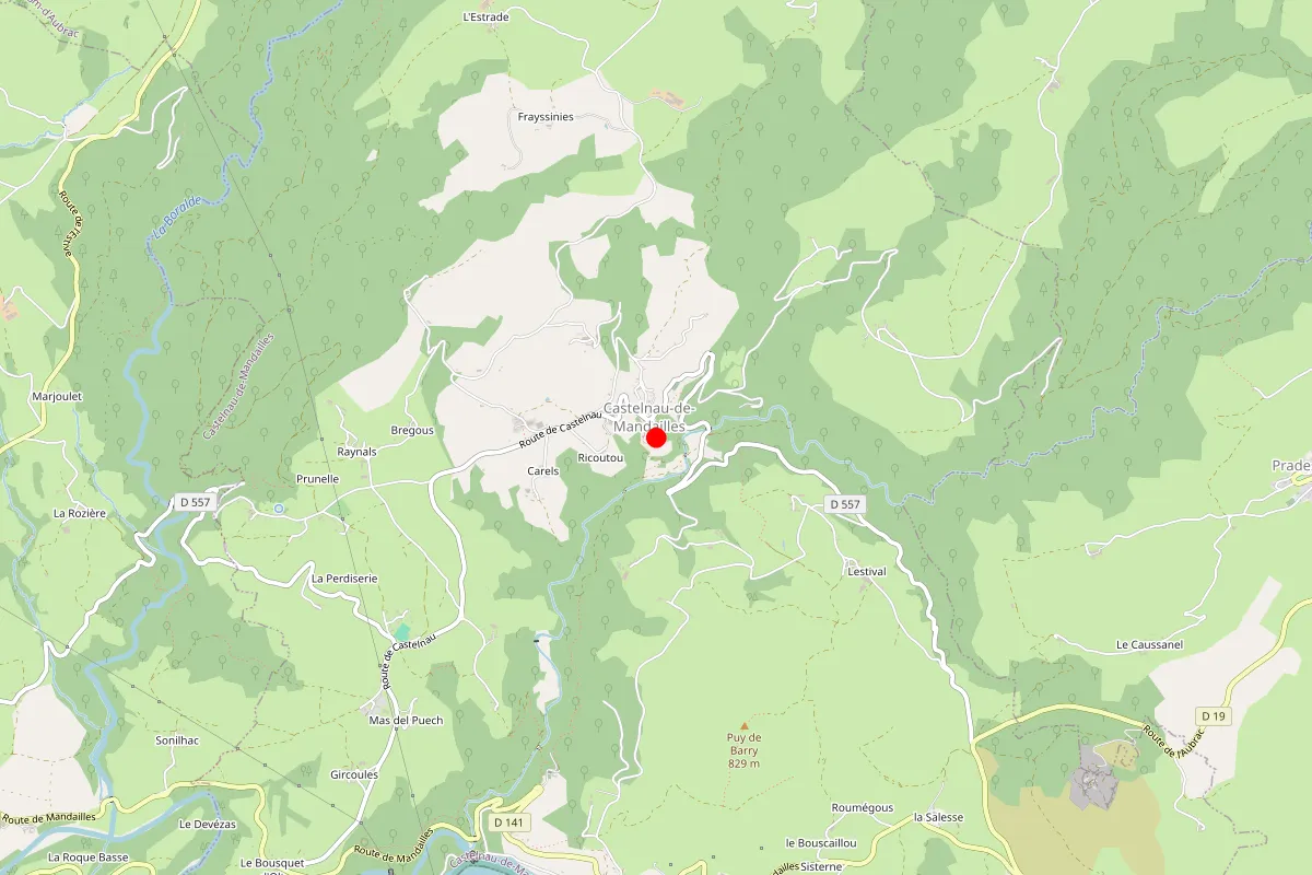 Remplacement de serrure à Castelnau De Mandailles