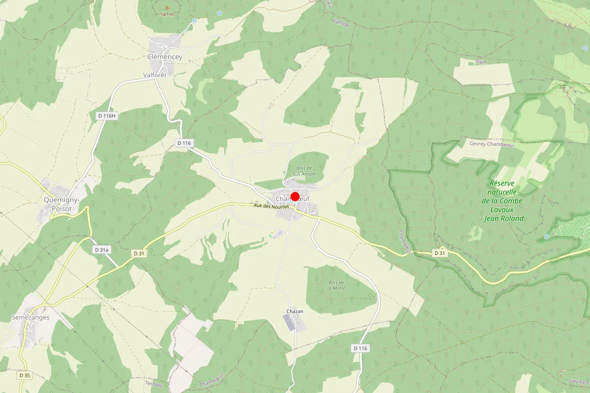 Remplacement de serrure à Chamboeuf