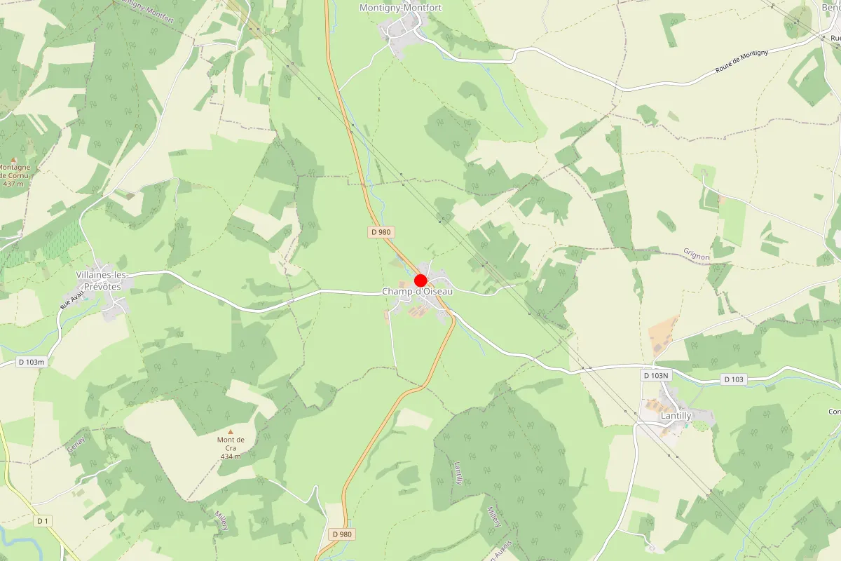 Remplacement de serrure à Champ D'Oiseau