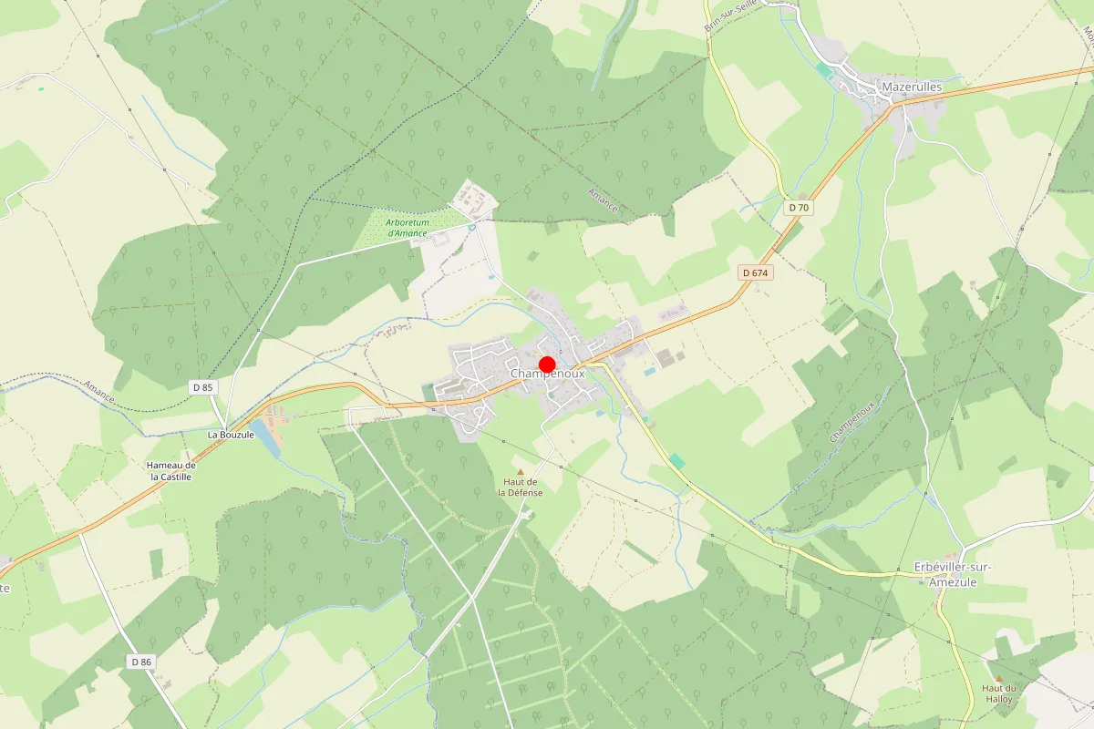 Remplacement de serrure à Champenoux