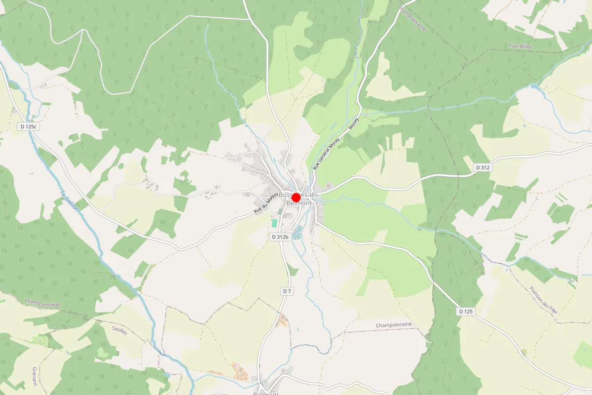 Remplacement de serrure à Champsevraine