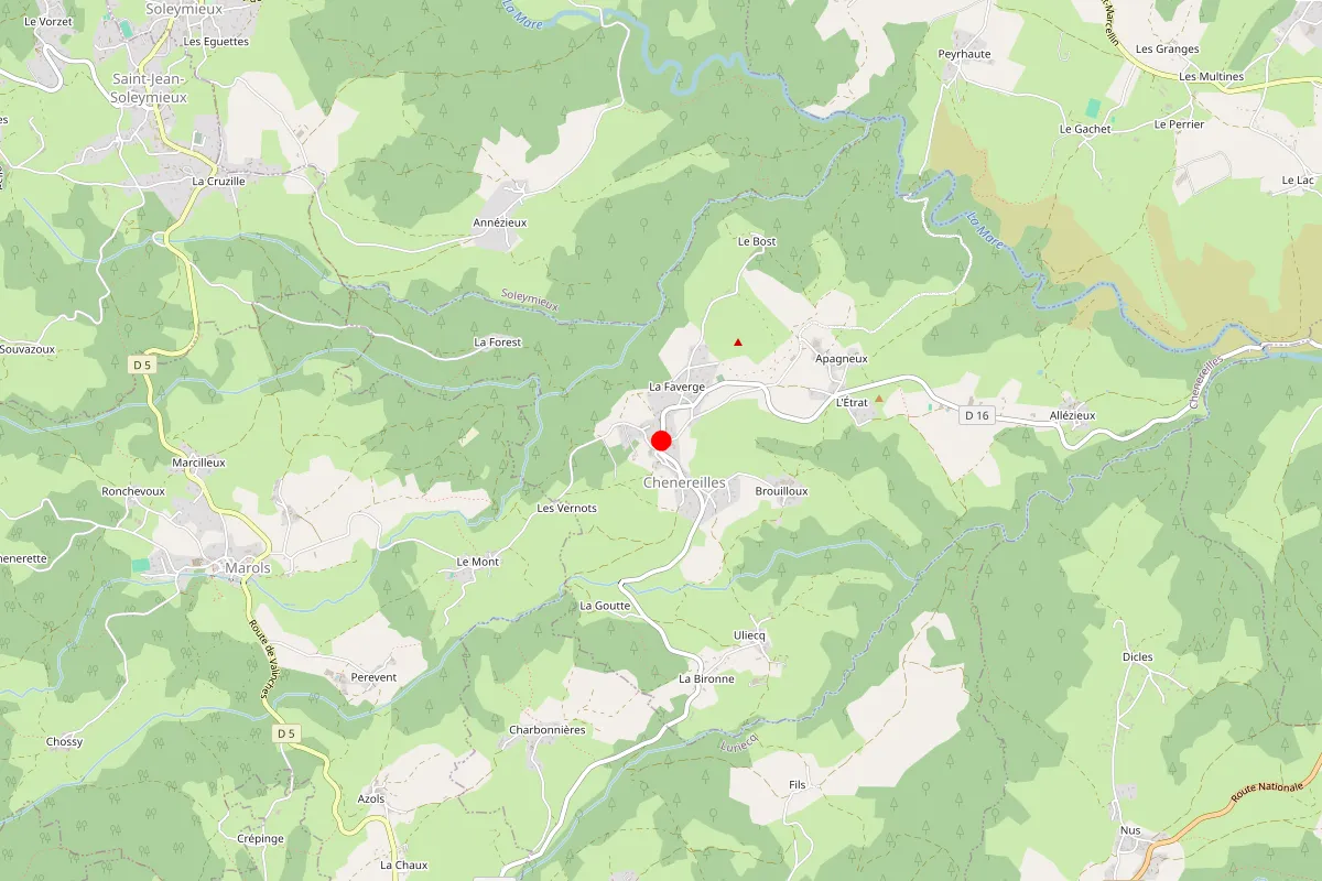 Remplacement de serrure à Chenereilles