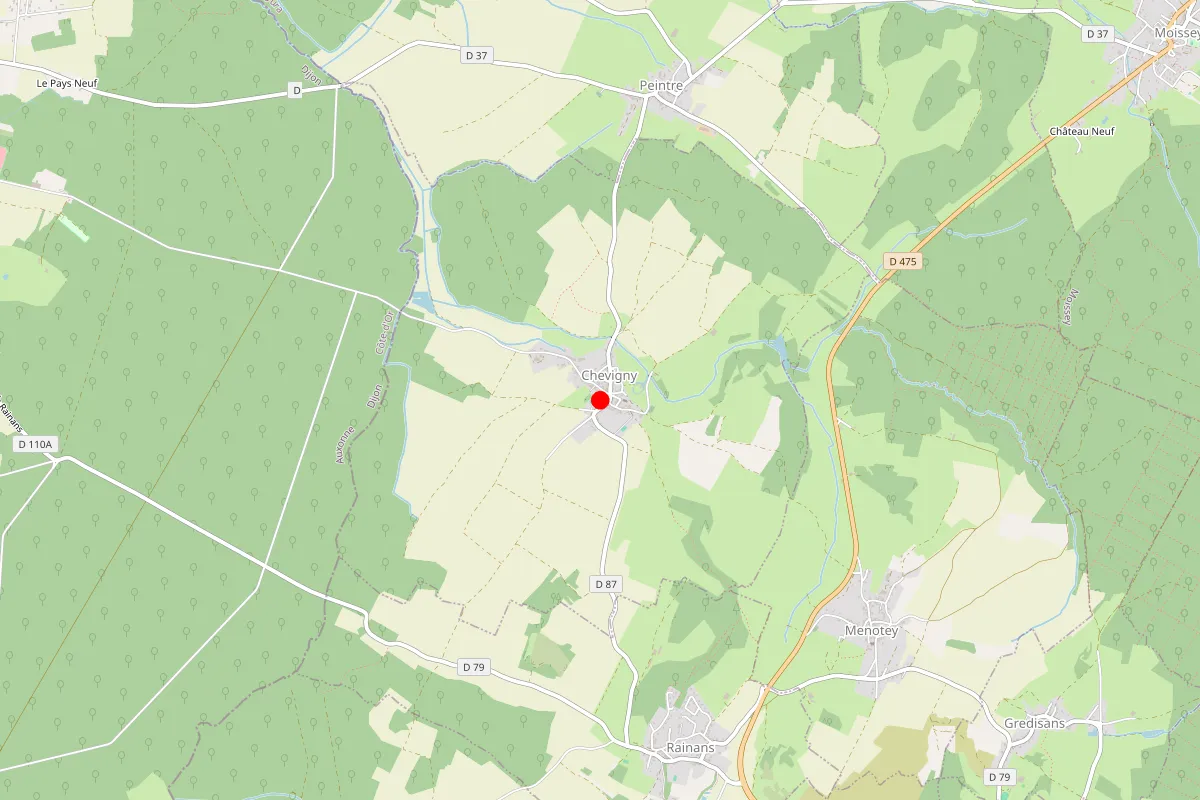 Remplacement de serrure à Chevigny