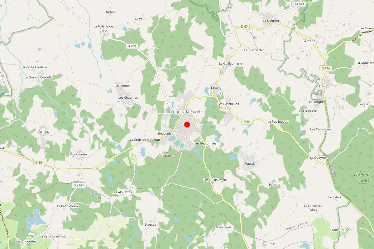 Remplacement de serrure à Cognac La Foret