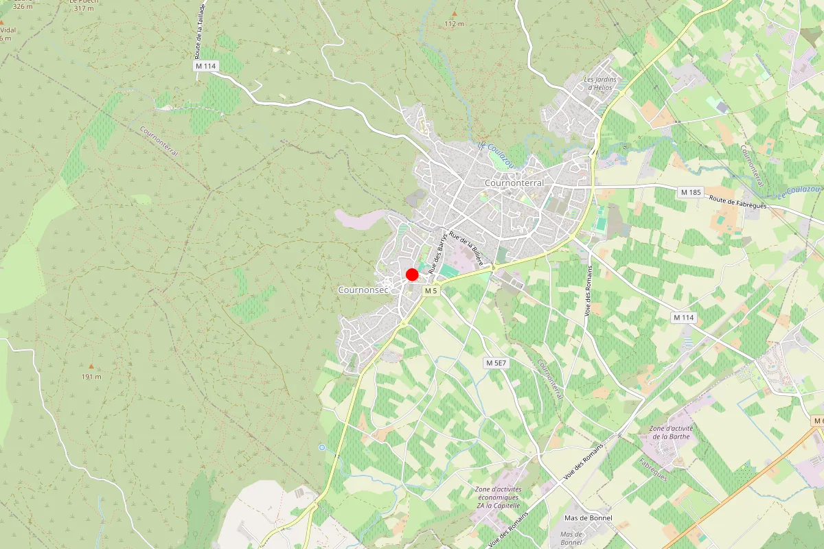 Remplacement de serrure à Cournonsec