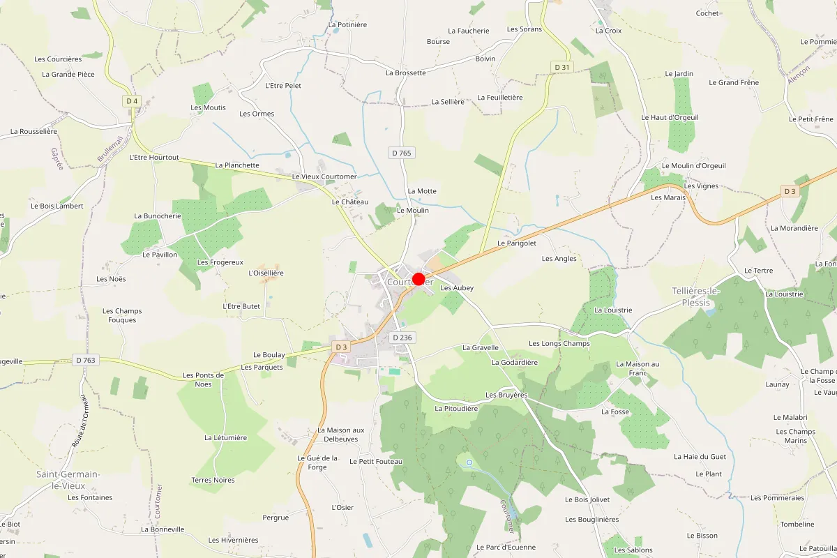Remplacement de serrure à Courtomer