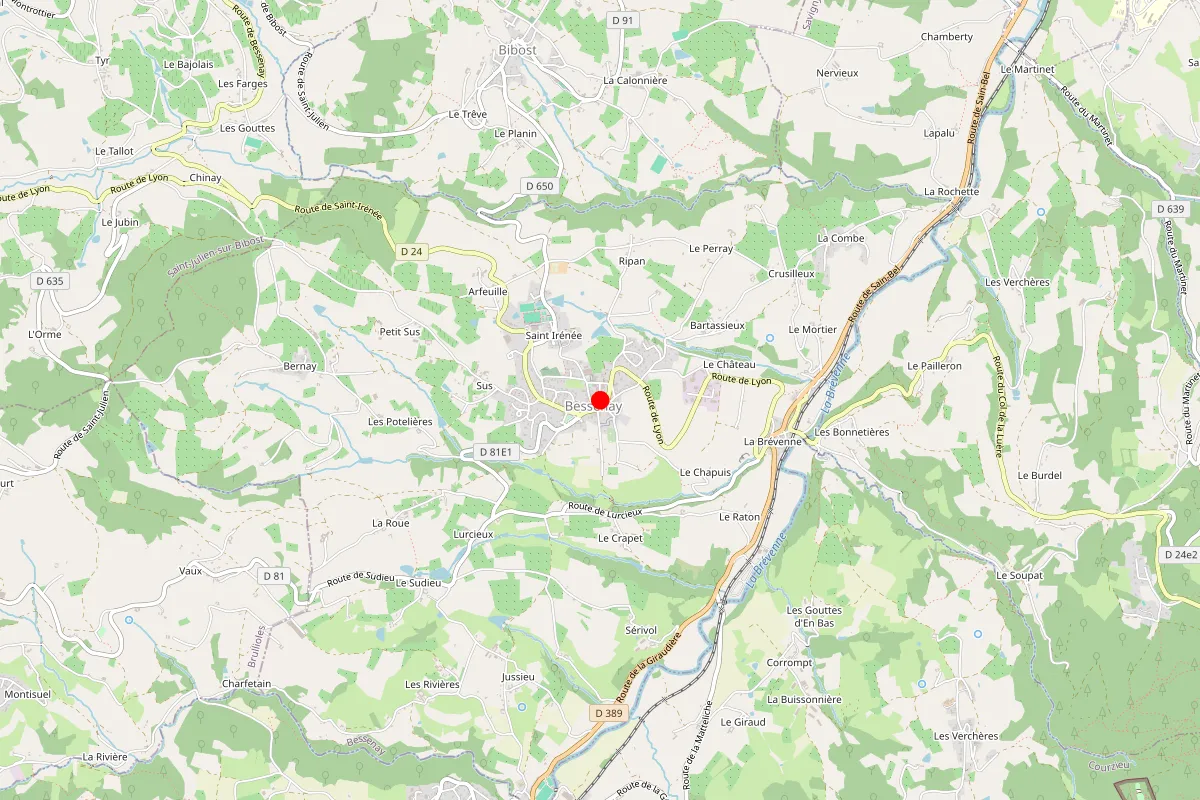 Remplacement de serrure à Courzieu