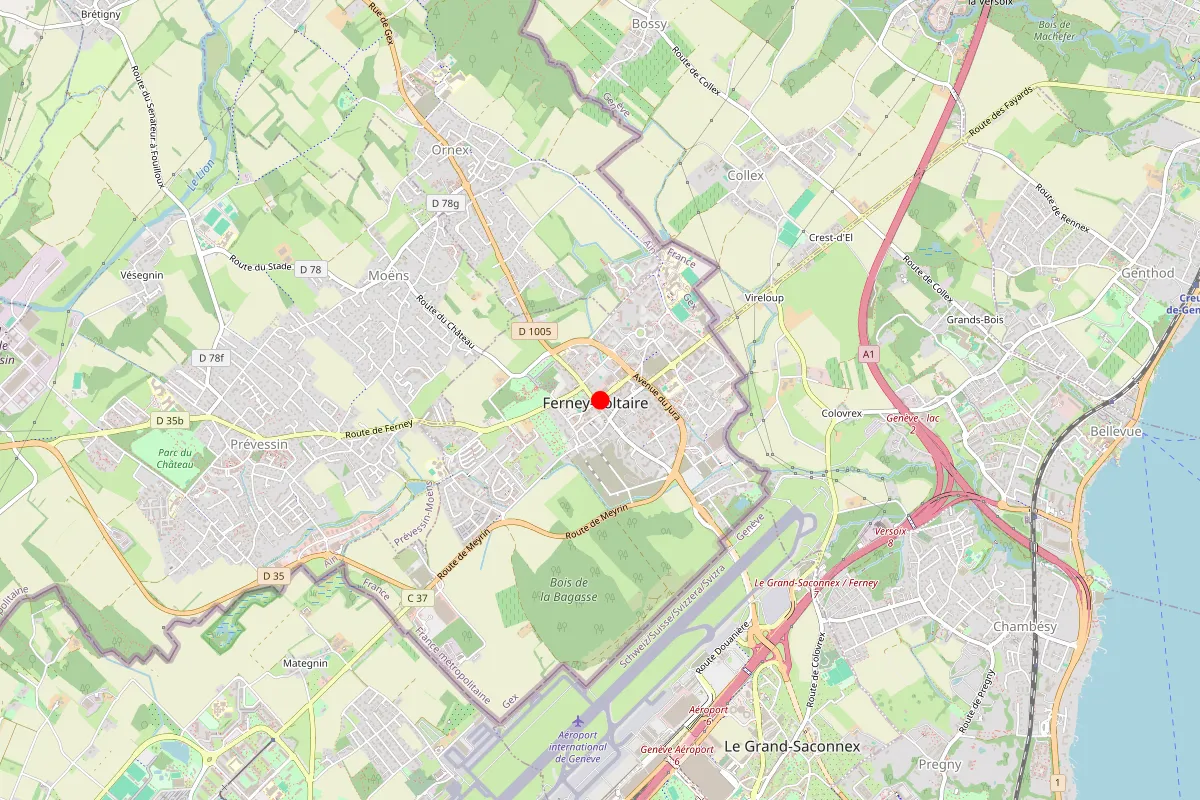 Remplacement de serrure à Ferney Voltaire