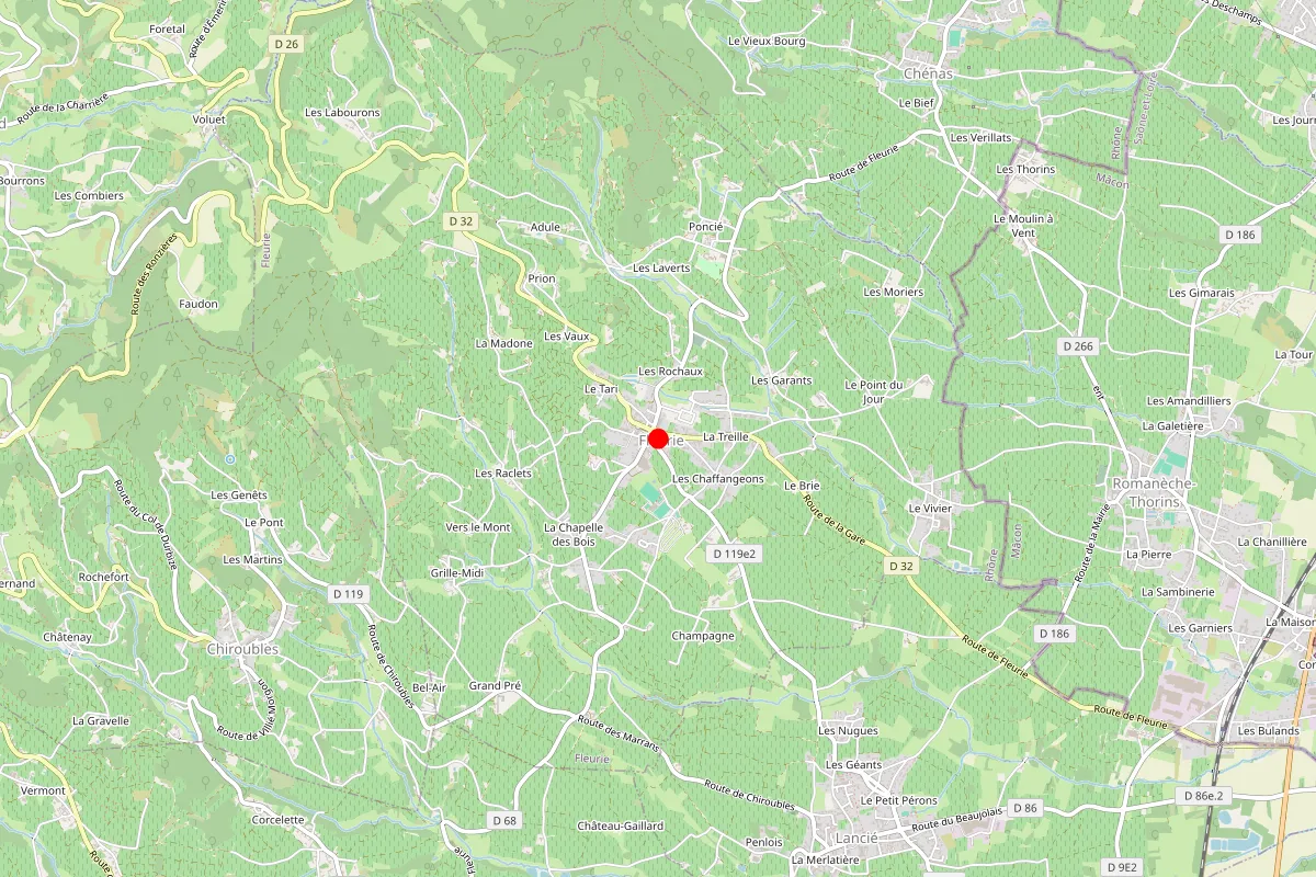 Remplacement de serrure à Fleurie