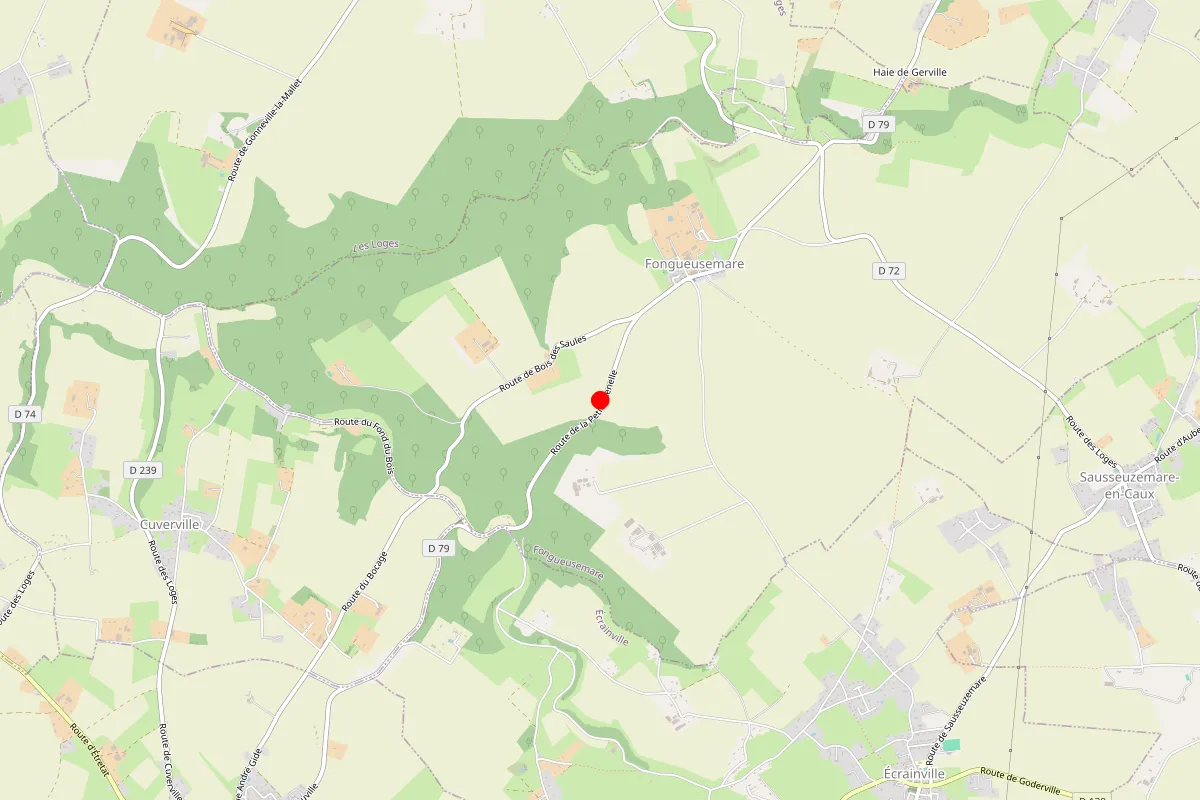 Remplacement de serrure à Fongueusemare