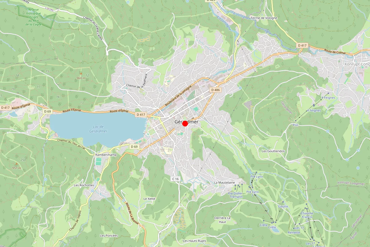 Remplacement de serrure à Gerardmer