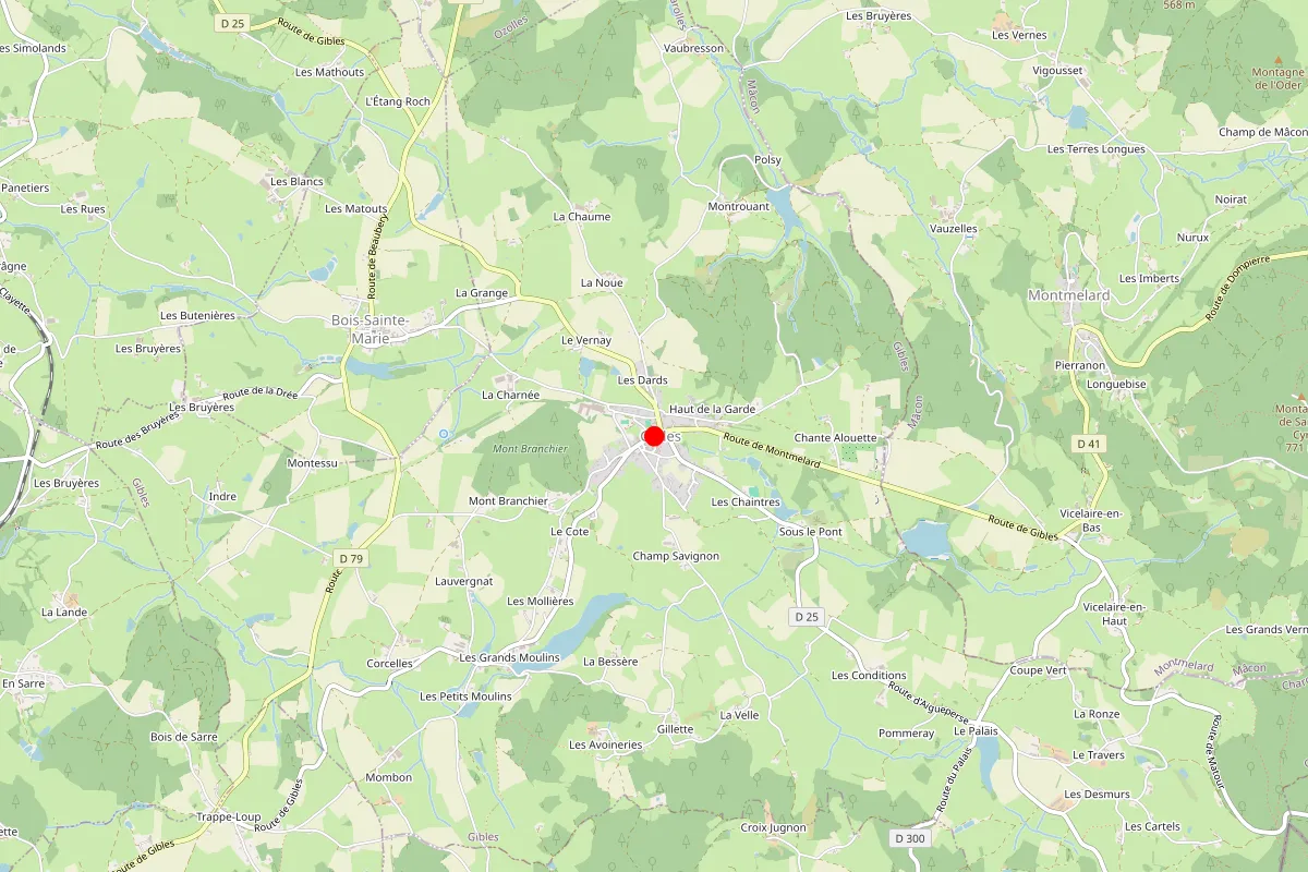 Remplacement de serrure à Gibles