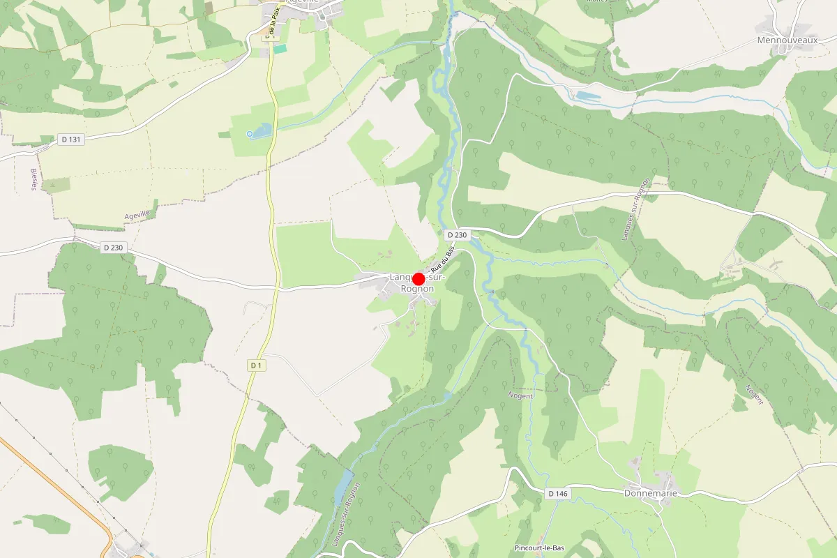 Remplacement de serrure à Lanques Sur Rognon