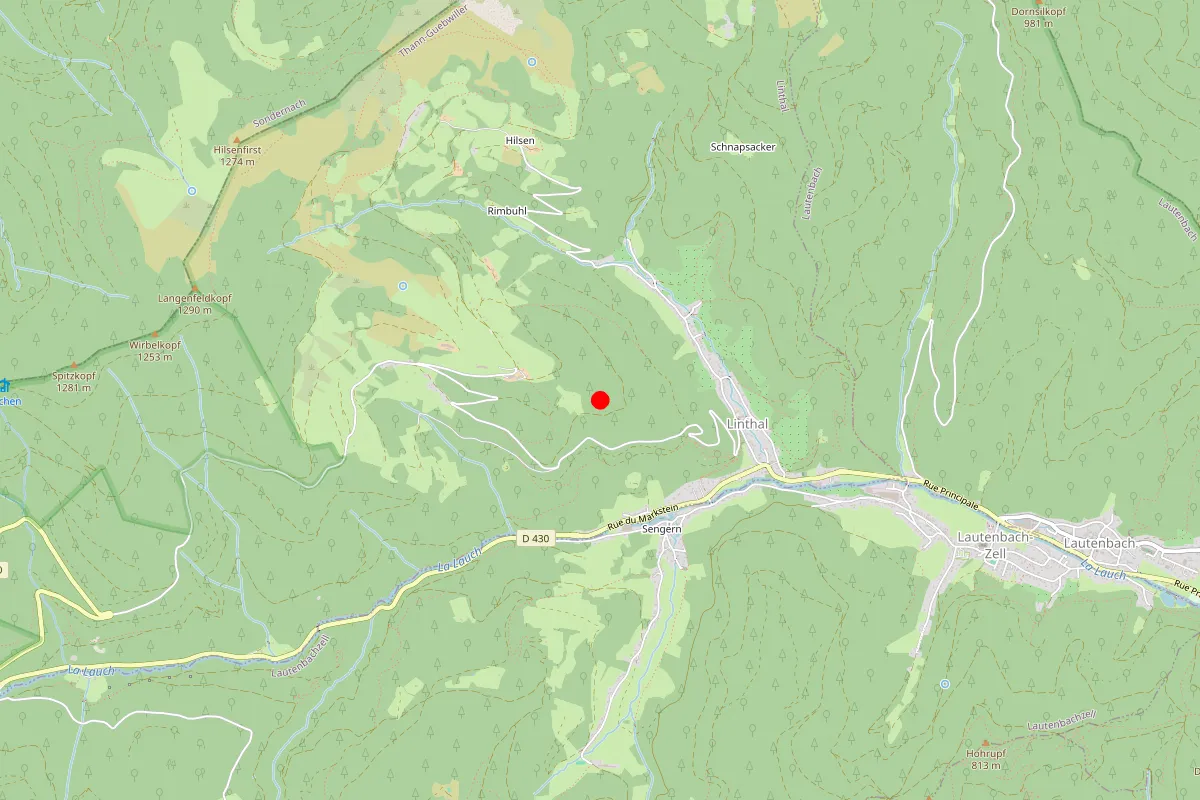 Remplacement de serrure à Lautenbachzell