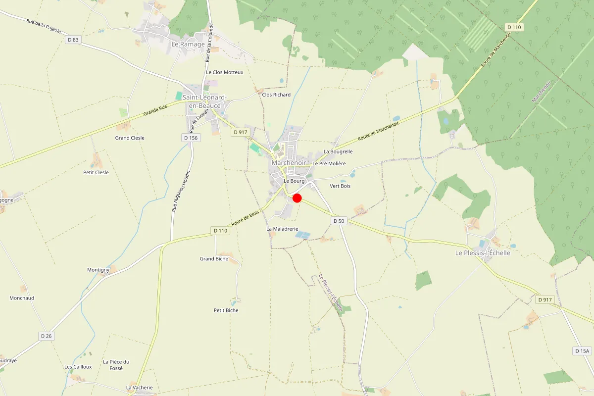 Remplacement de serrure à Le Plessis L'Echelle