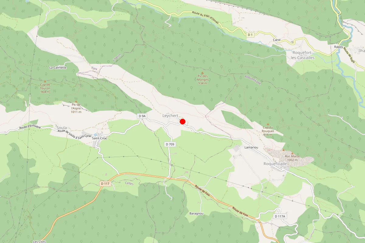 Remplacement de serrure à Leychert
