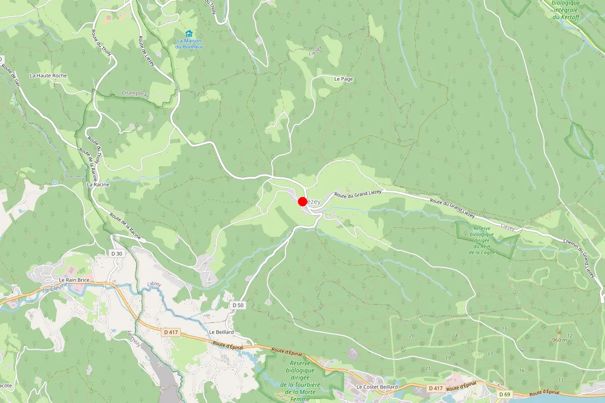 Remplacement de serrure à Liezey