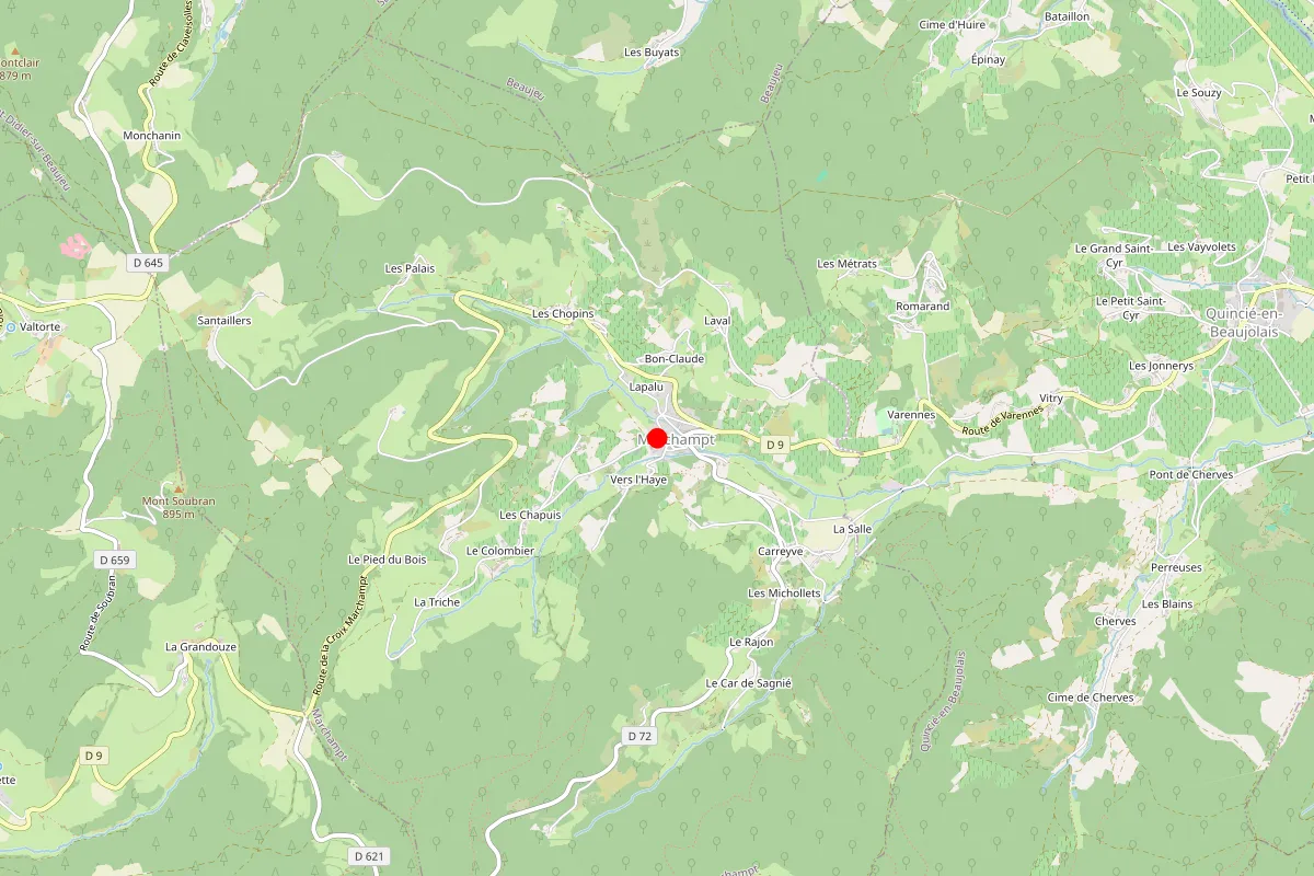 Remplacement de serrure à Marchampt