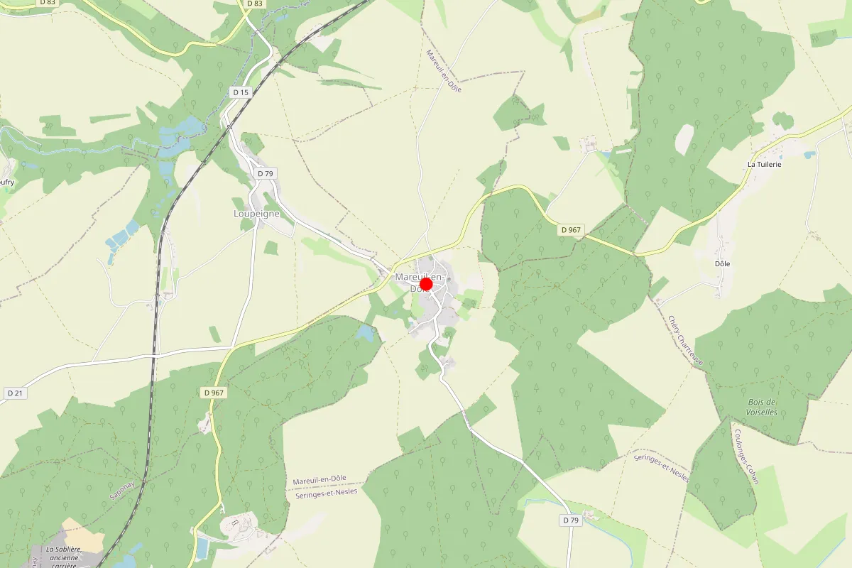 Remplacement de serrure à Mareuil En Dole