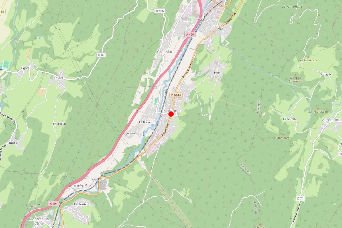Remplacement de serrure à Martignat