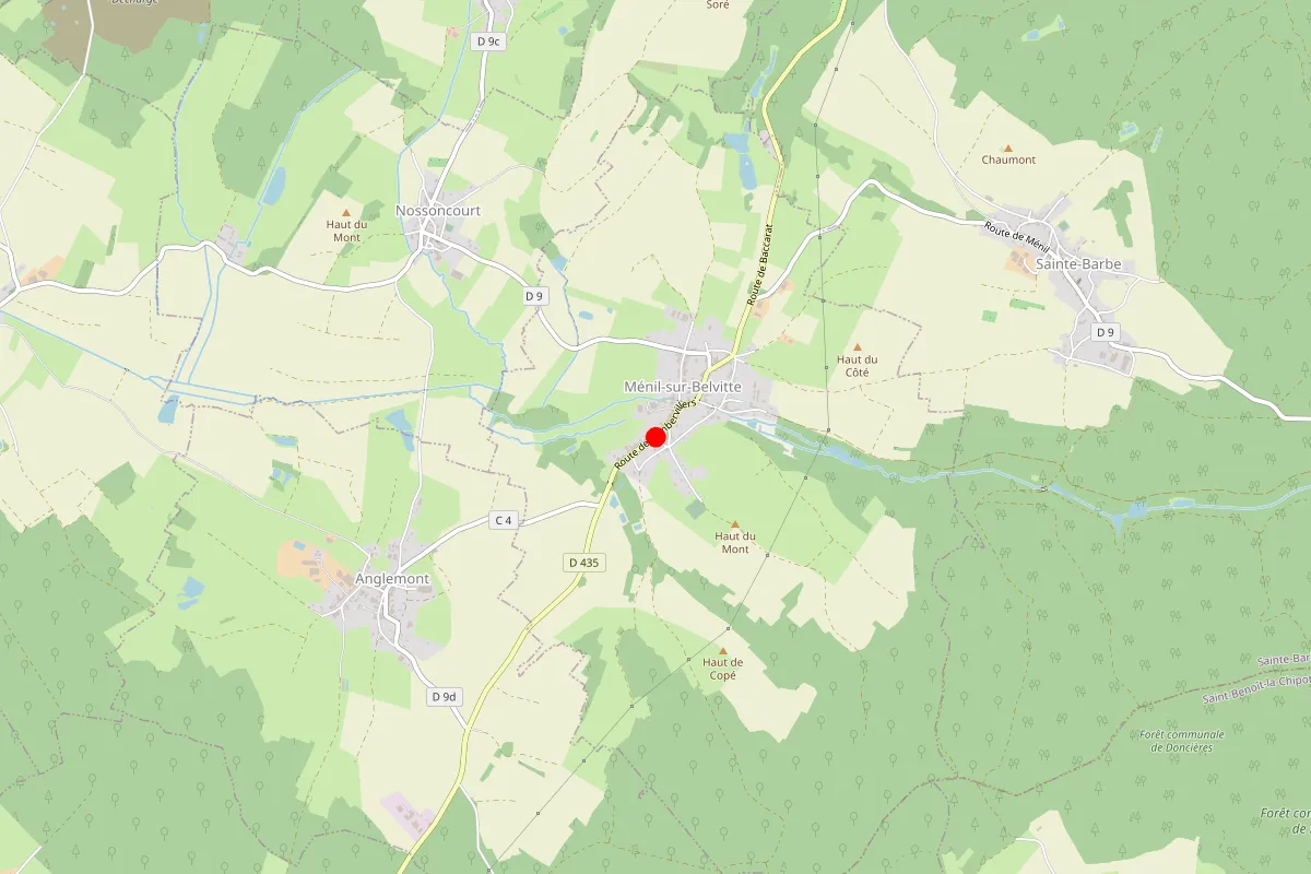 Remplacement de serrure à Menil Sur Belvitte