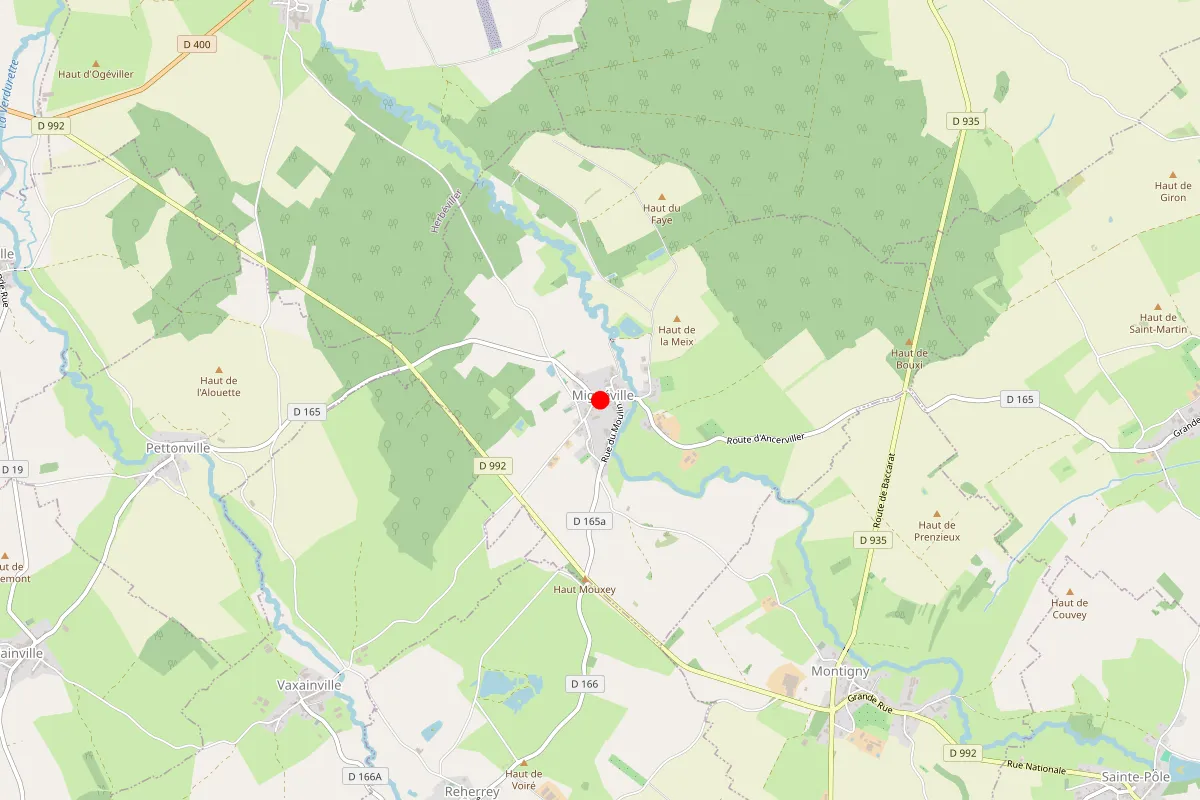 Remplacement de serrure à Migneville