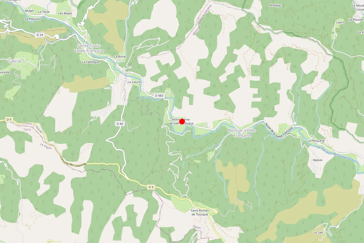 Remplacement de serrure à Moissac Vallee Francaise