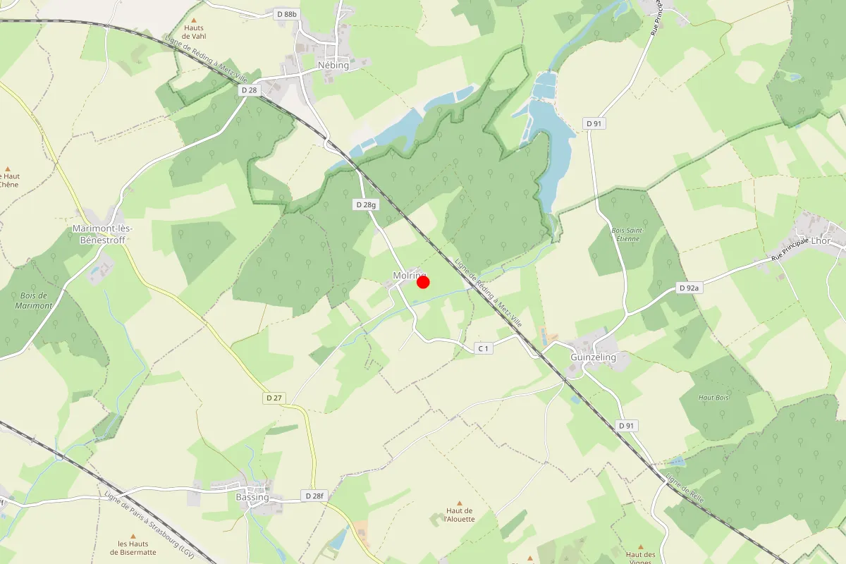 Remplacement de serrure à Molring