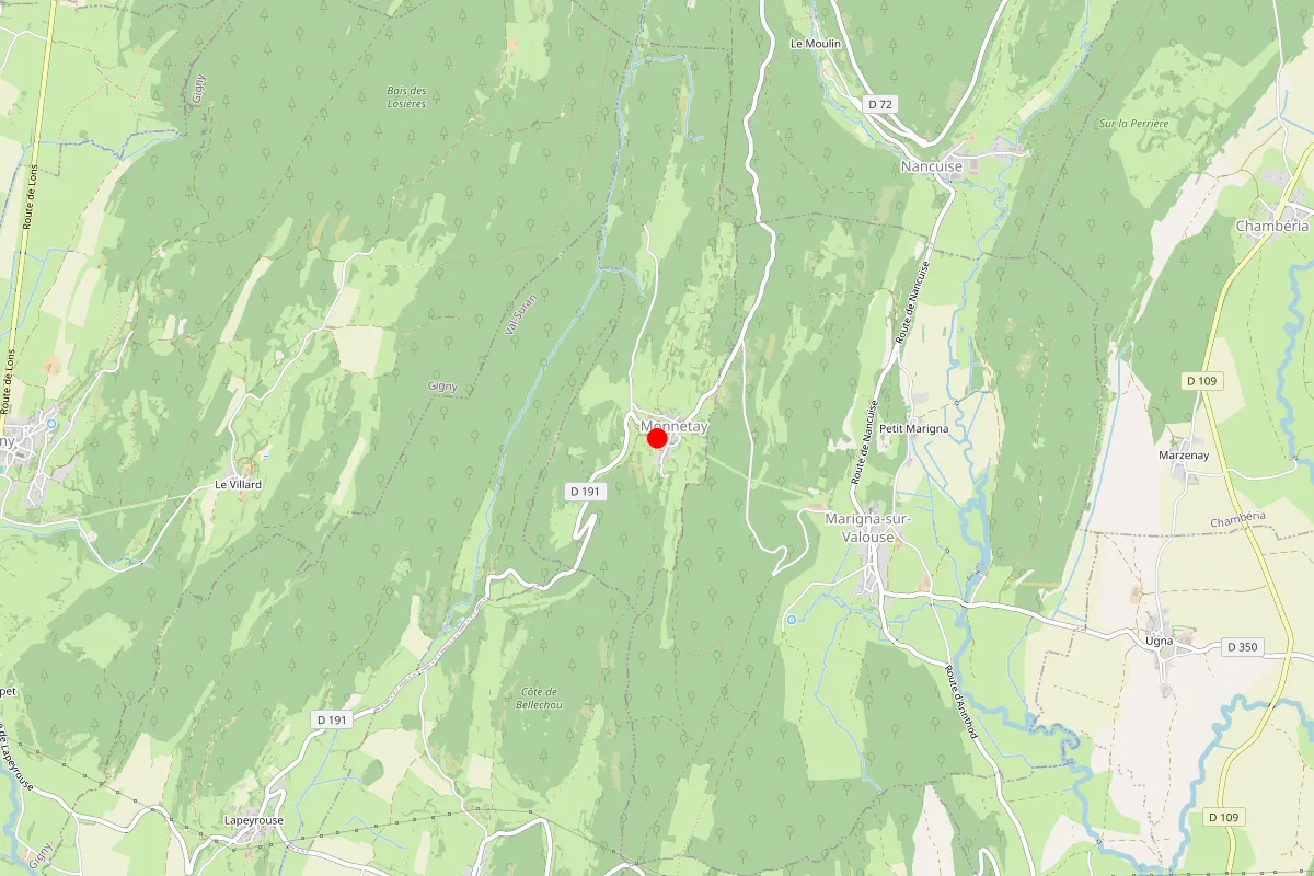 Remplacement de serrure à Monnetay