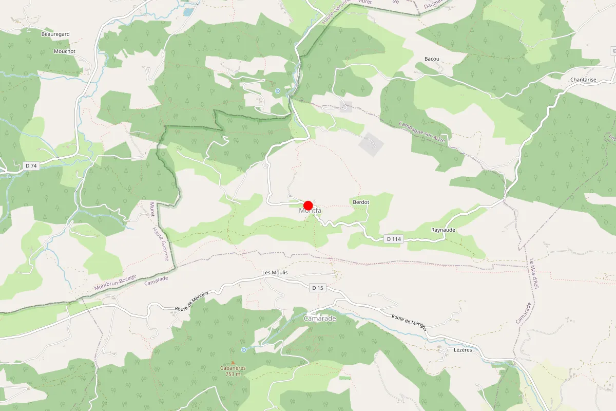 Remplacement de serrure à Montfa