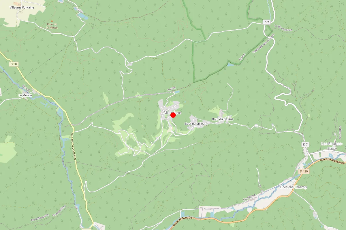 Remplacement de serrure à Mortagne