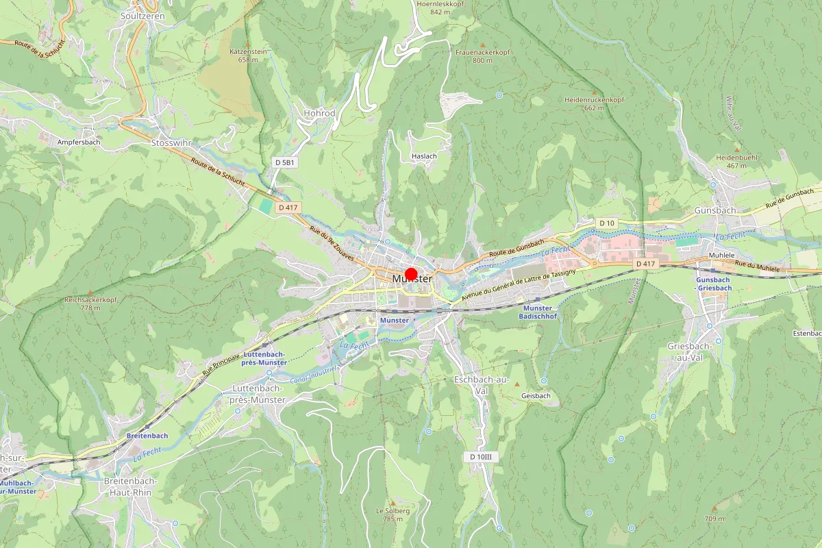 Remplacement de serrure à Munster