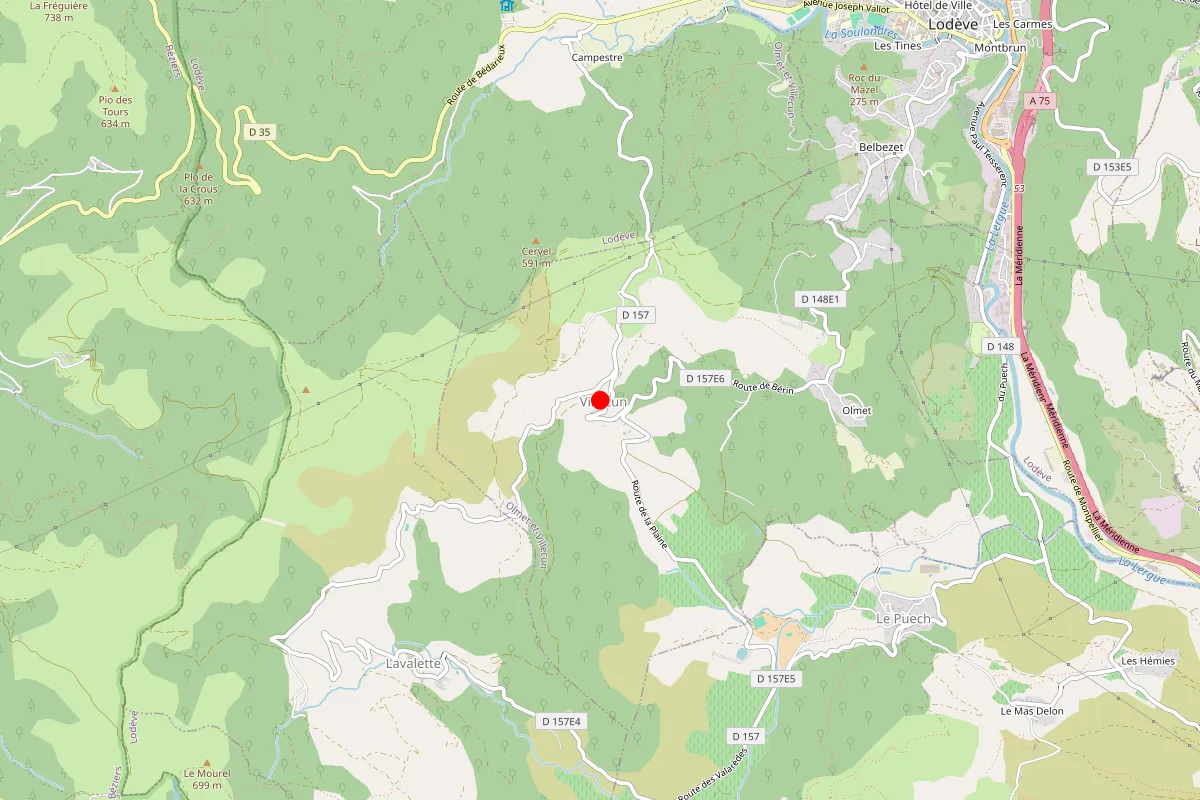 Remplacement de serrure à Olmet Et Villecun