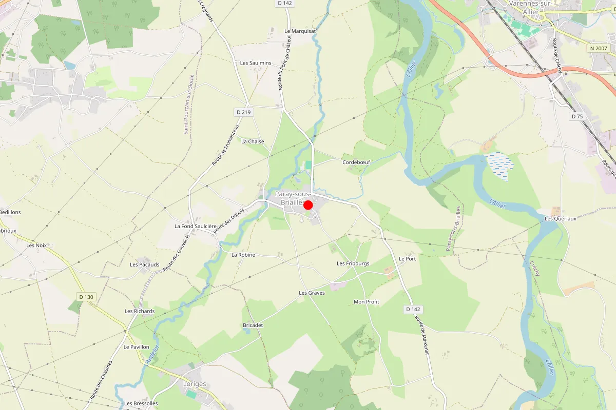 Remplacement de serrure à Paray Sous Briailles