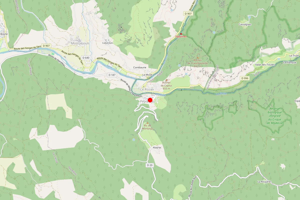 Remplacement de serrure à Peyreleau