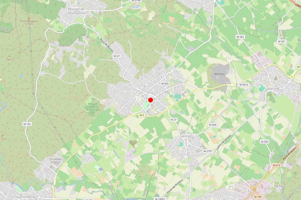 Remplacement de serrure à Pignan