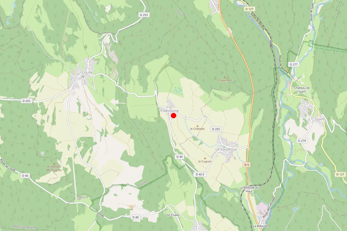 Remplacement de serrure à Pillemoine