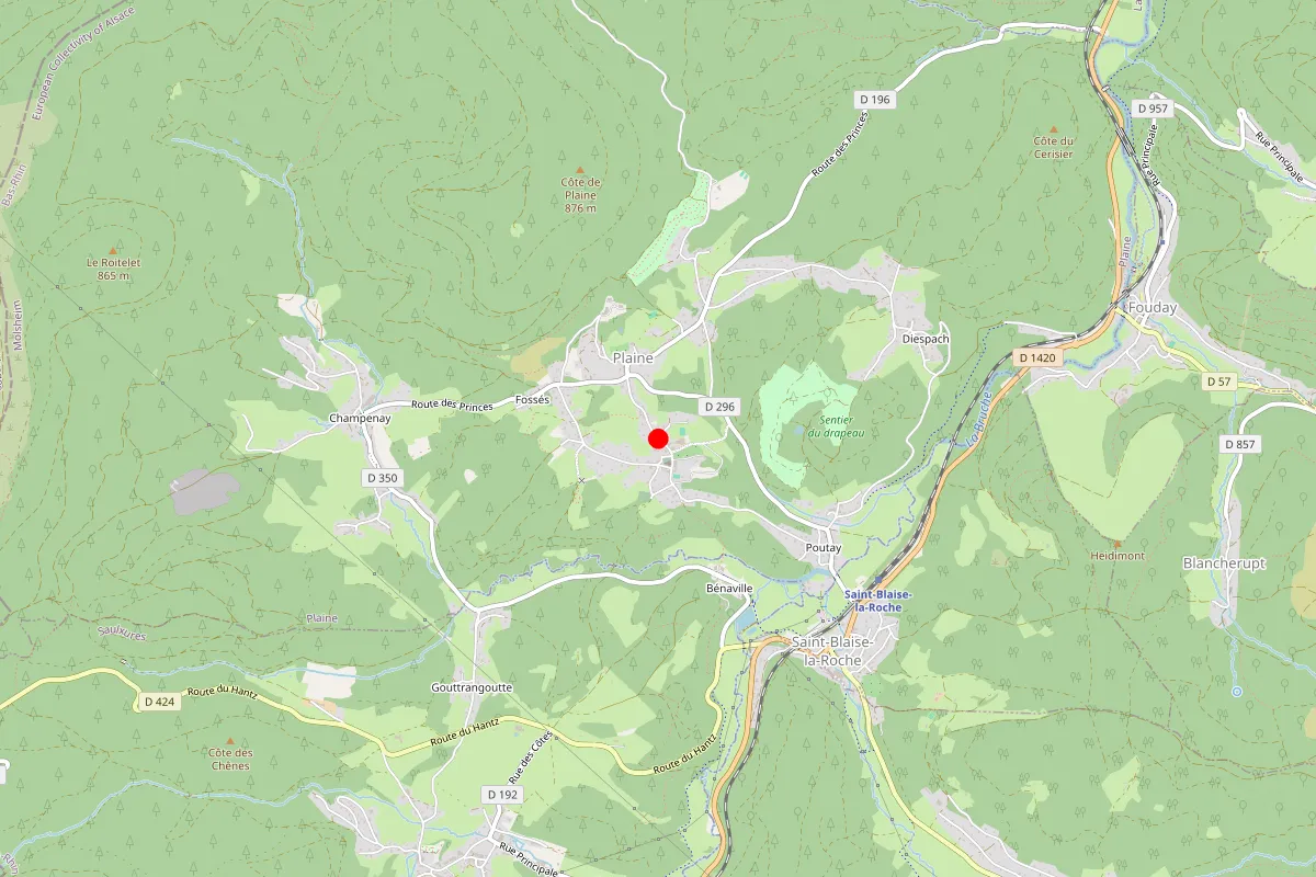 Remplacement de serrure à Plaine